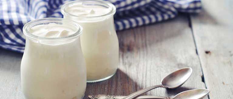  Bulgarian yogurt as immunostimulants