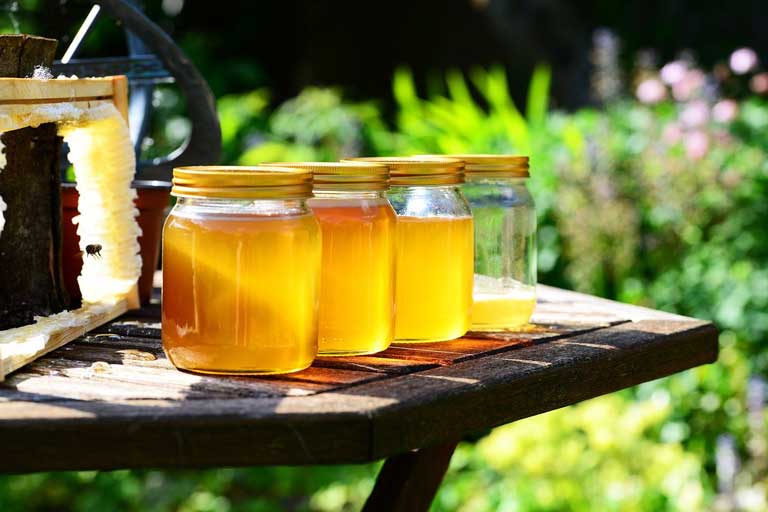  Honey immunostimulant