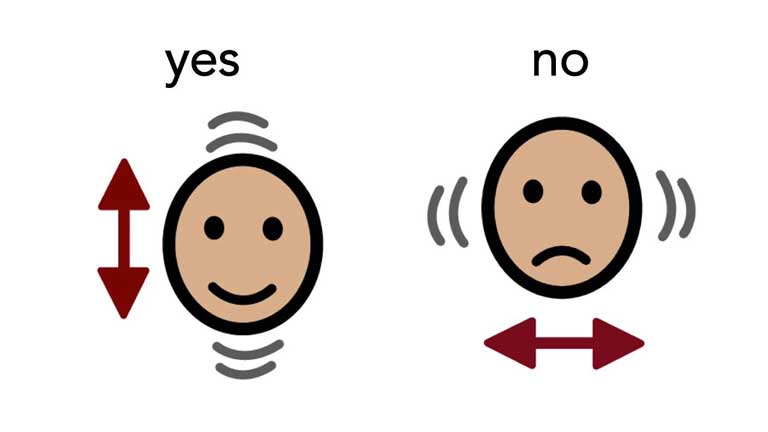 Communication while on holiday in Bulgaria