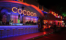 Cocoon Bar - Sunny Beach