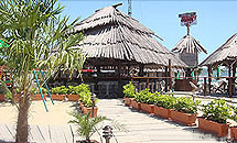 Viking Bar - Sunny BEach